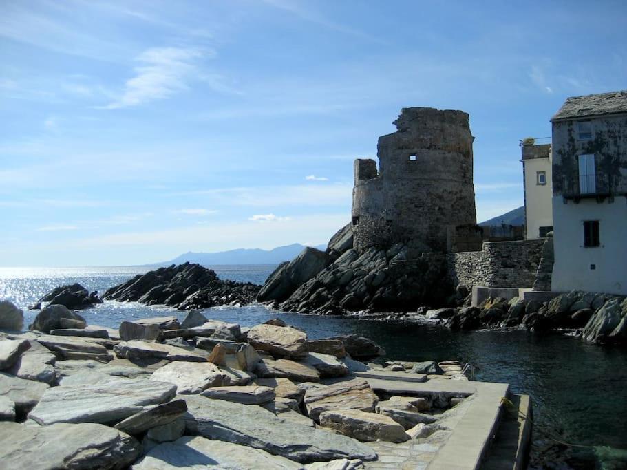 Apartment De Charme, T3, Situation Ideale, Pieds Dans L'eau, Cap Corse